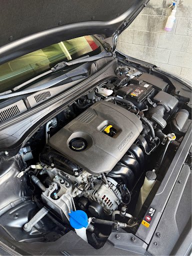 Photo from customer review